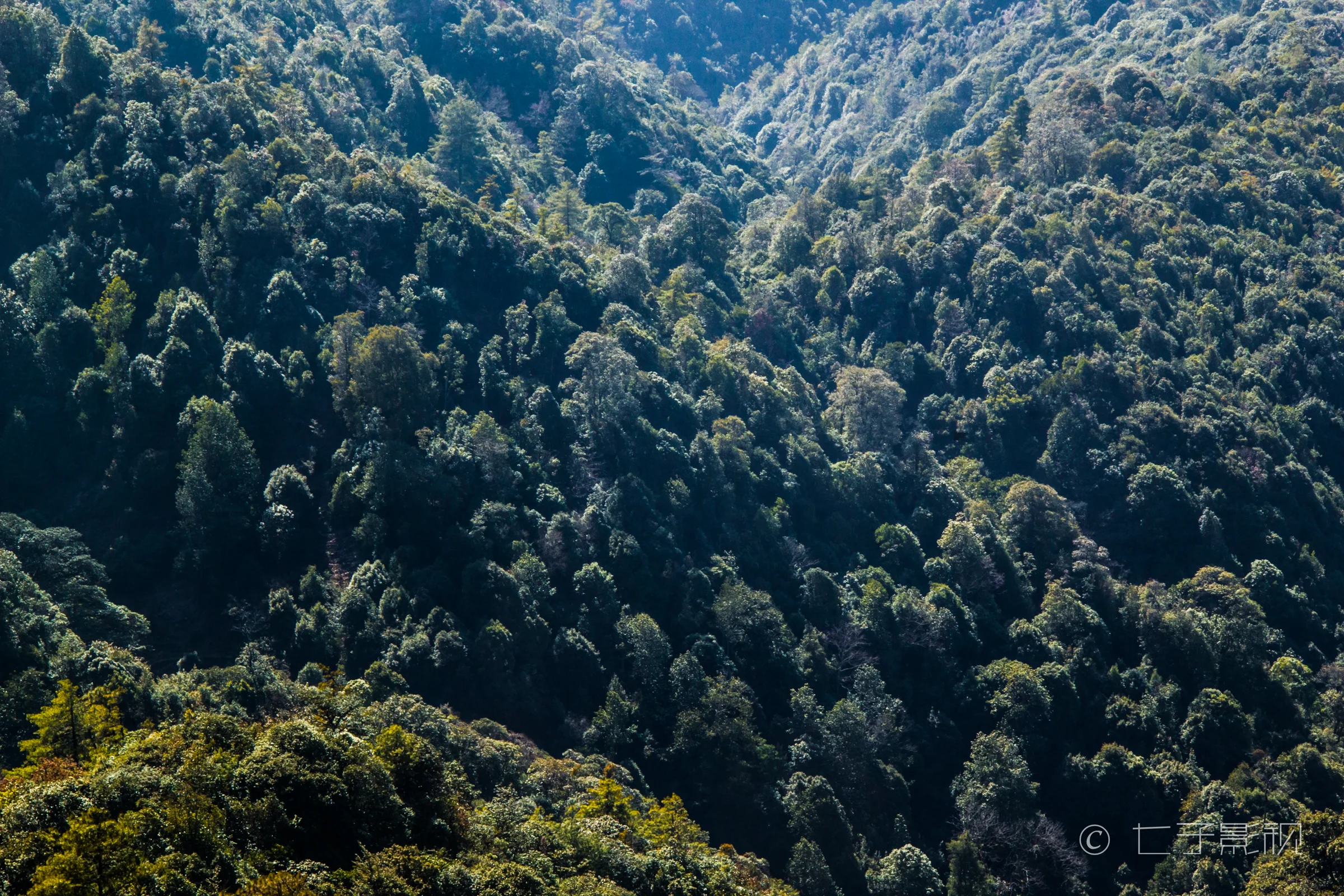 大亮山（2016）