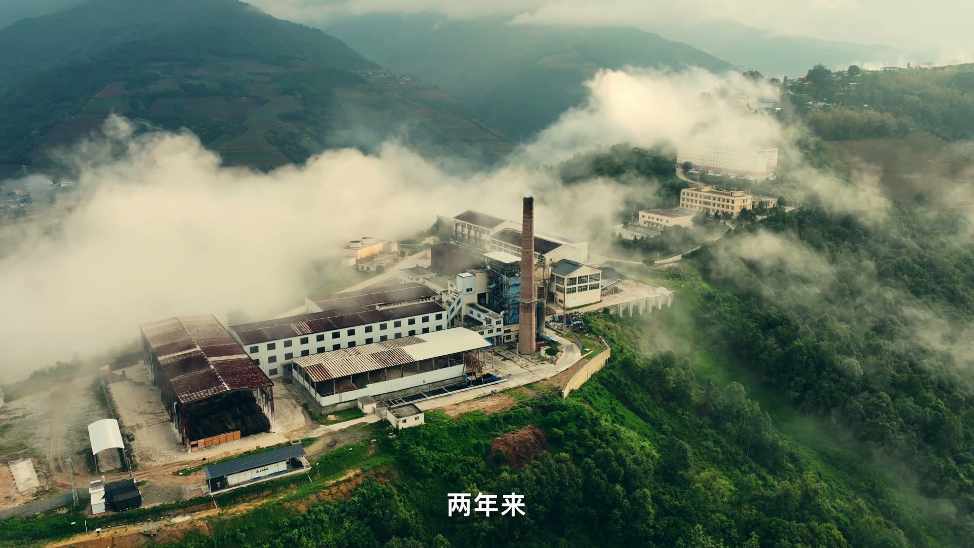 《一粒糖的奋进之路》封面