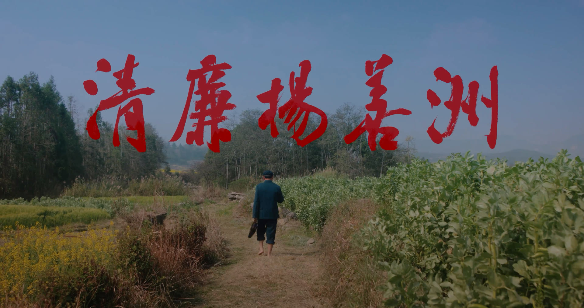 《清廉杨善洲》封面